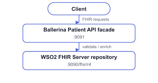 Patient API facade architecture
